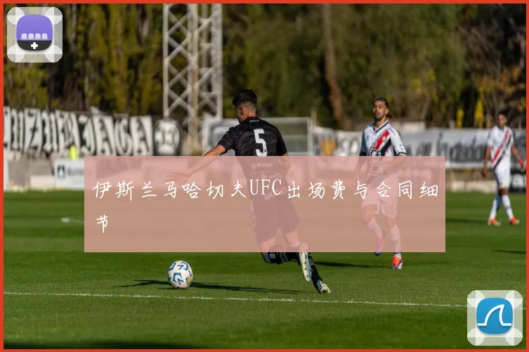 伊斯兰马哈切夫UFC出场费与合同细节
