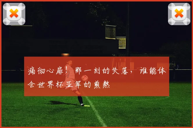 痛彻心扉！那一刻的失落，谁能体会世界杯亚军的煎熬