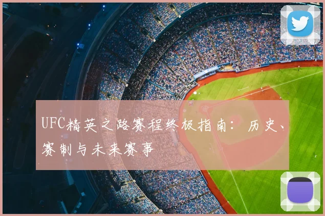 UFC精英之路赛程终极指南:历史、赛制与未来赛事