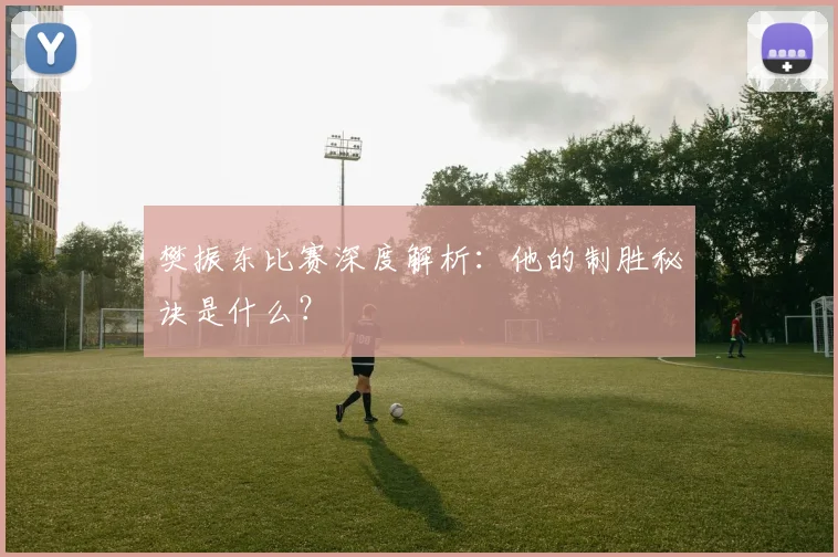 樊振东比赛深度解析：他的制胜秘诀是什么？